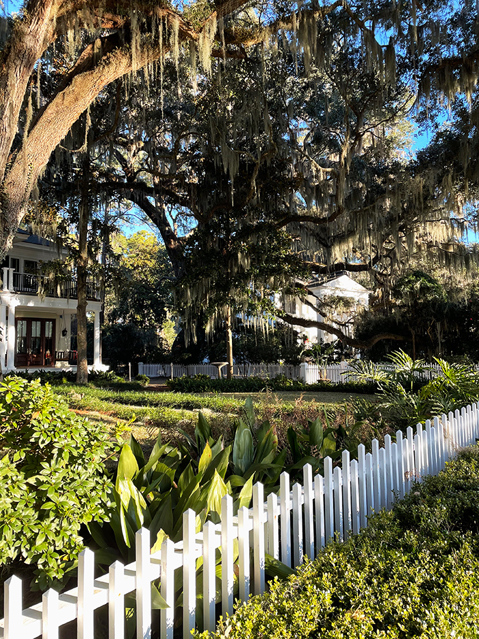 home with white picket fence and live oak trees savannah