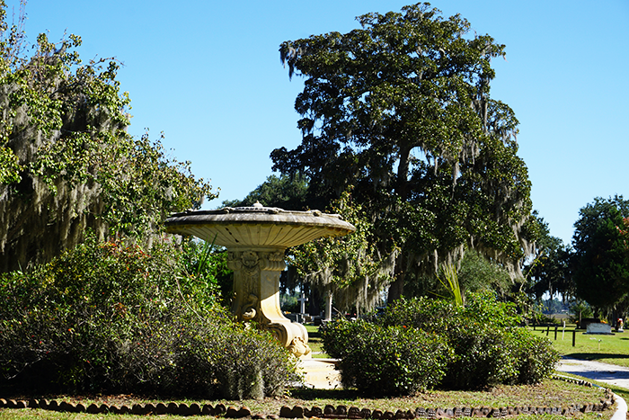 former plantation fountain at bonaventure with large magnolia tree in background savannah