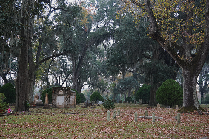 grave markers in grove of oak trees in fall savannah